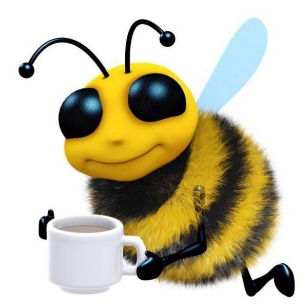 шмель смешной