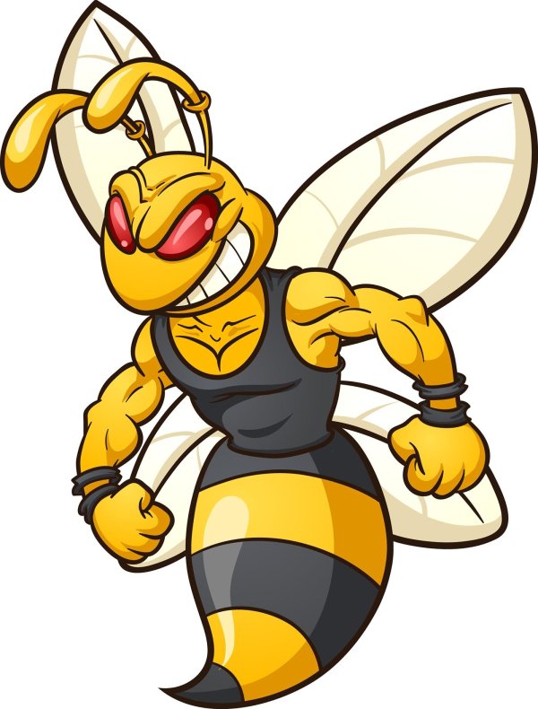 пчела качок