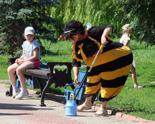 прикольный пчеловод