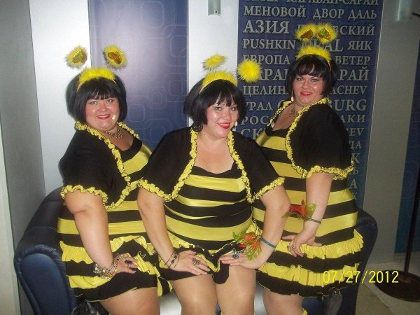 шоу толстушек