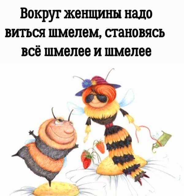 вокруг женщины надо виться шмелем с каждым