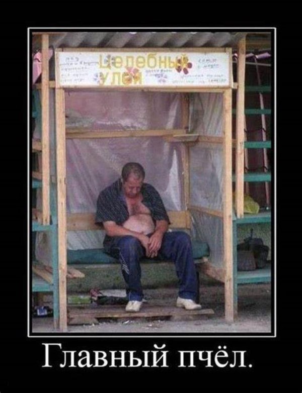 приколы юмор