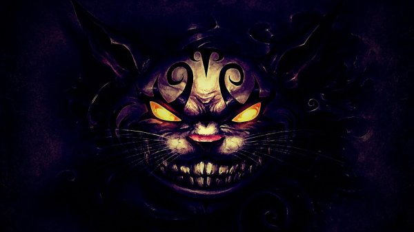 чешир американ макги