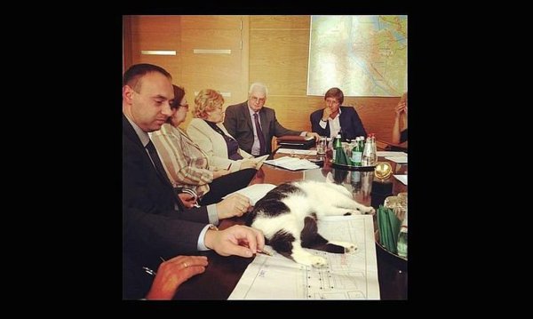 корпоратив демотиваторы