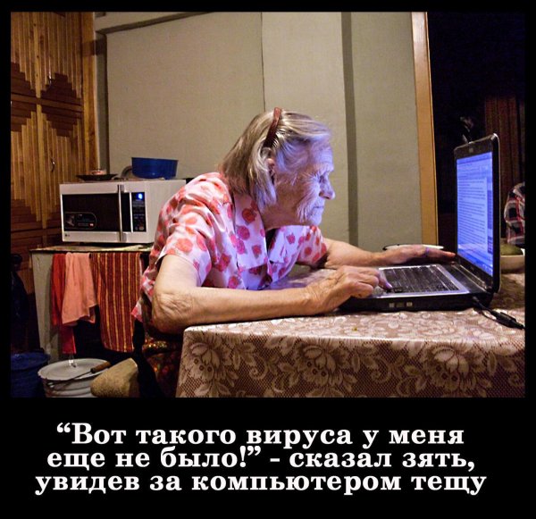 смешные демотиваторы про тещу