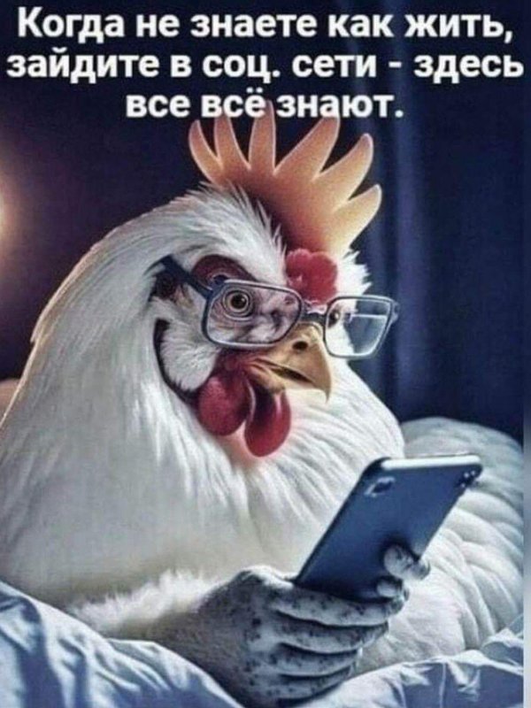 открытка с юмором