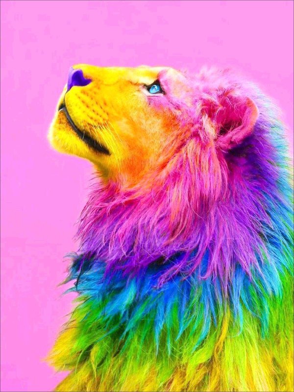 радужные звери