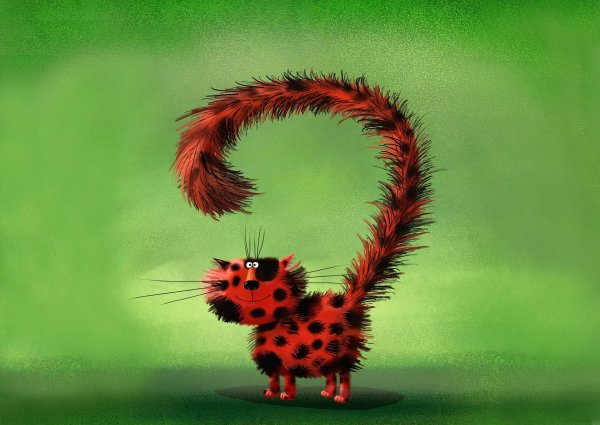 хвост животного