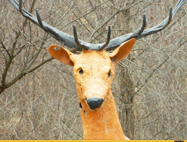 чучело оленя