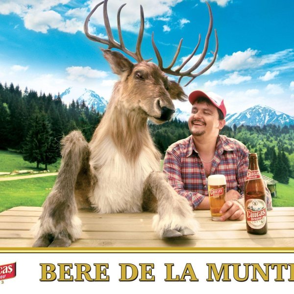 смешные олени