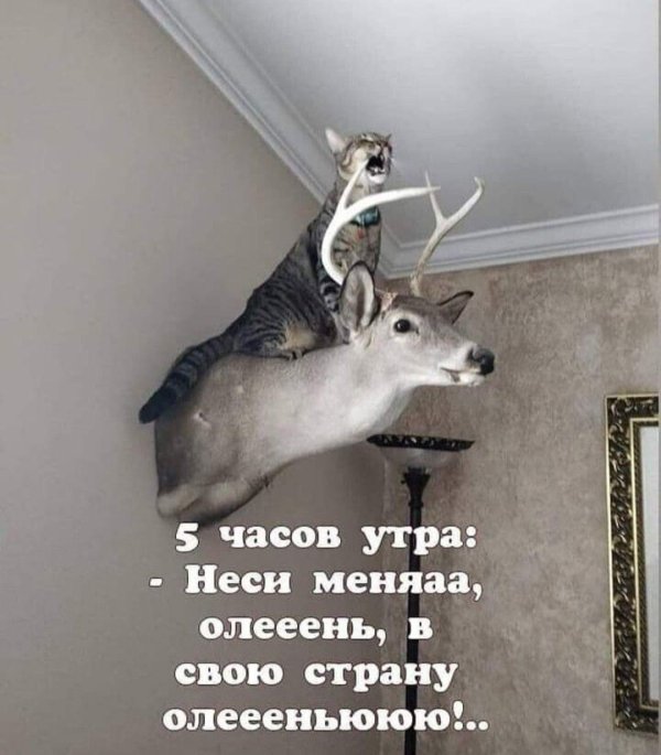 чучело оленя