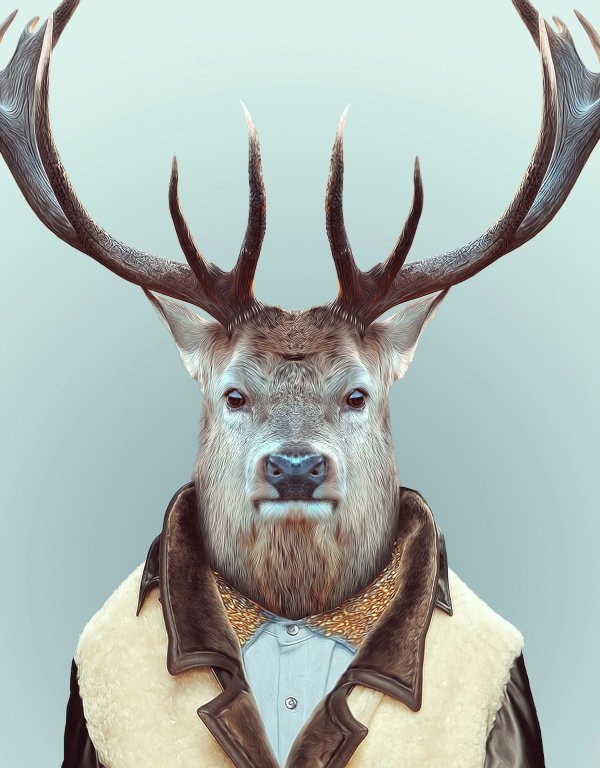 зоопортреты timur