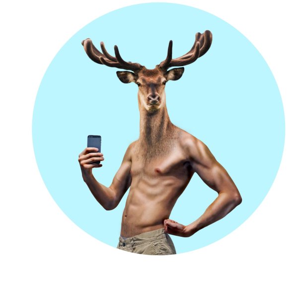 накаченный олень