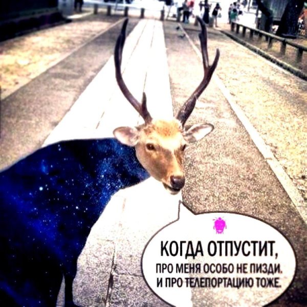 когда отпустит