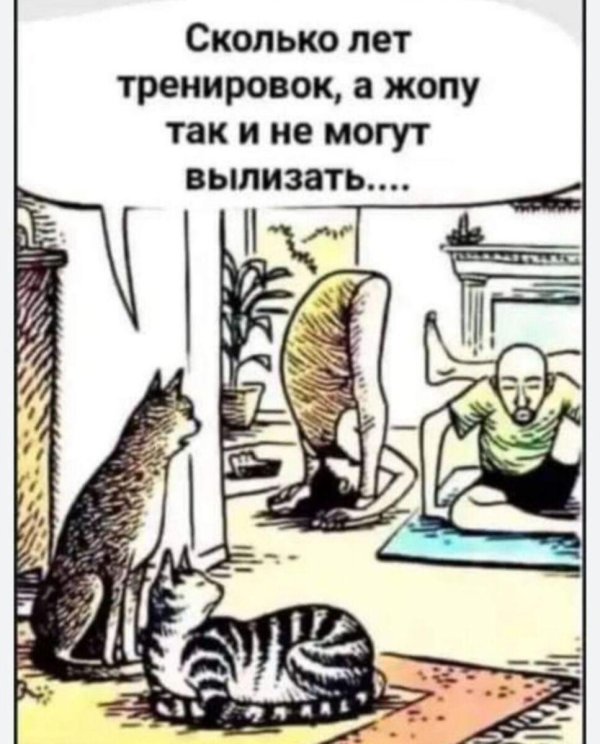 йога тренировка