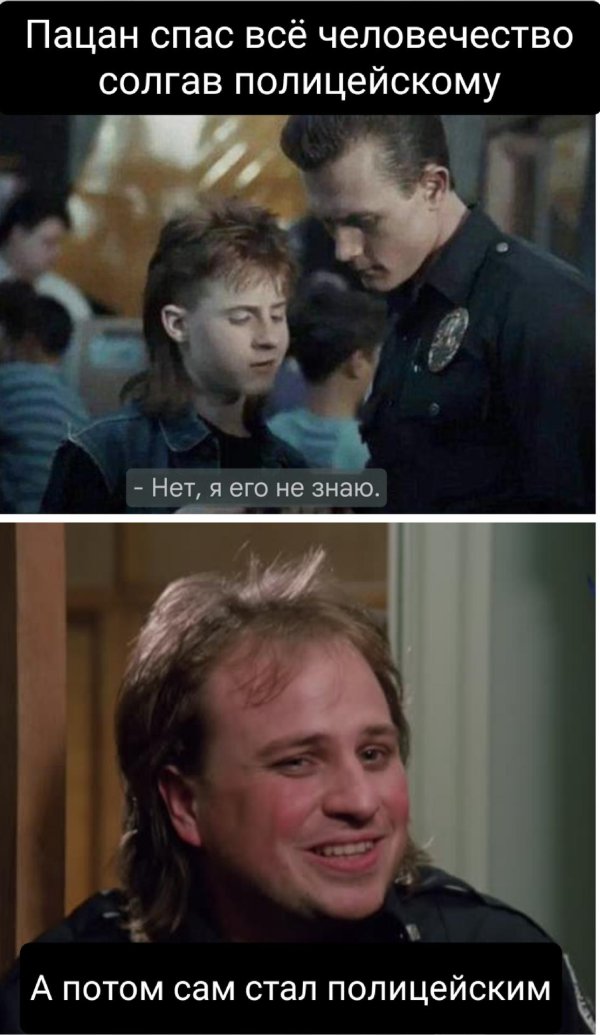 полицейская академия зед