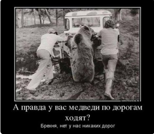 говорят у вас медведи по дорогам ходят