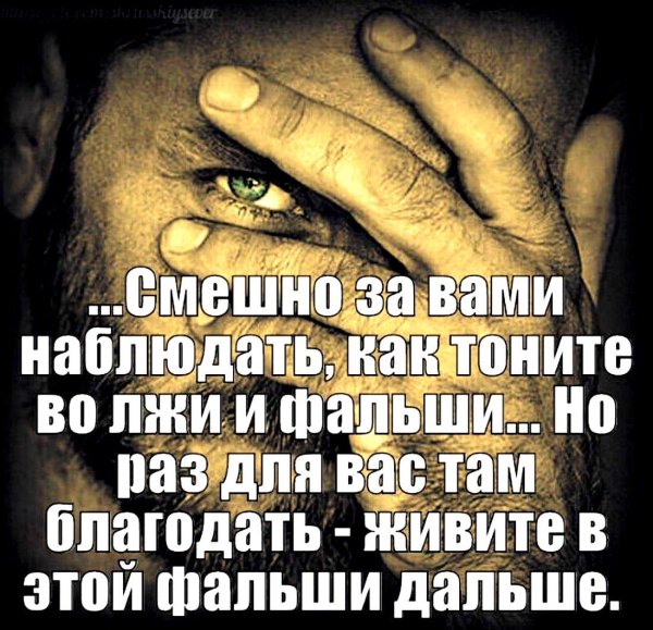 мудрая цитата