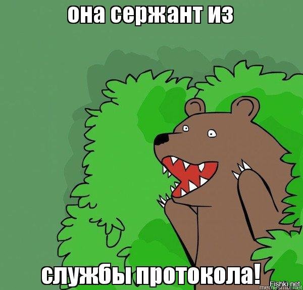 медведь из куста