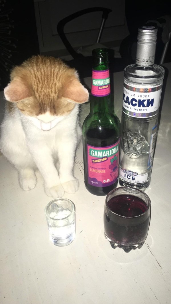 алкоголь коктейли