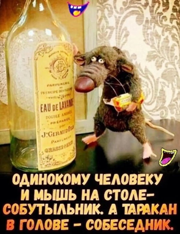 мышь смешная