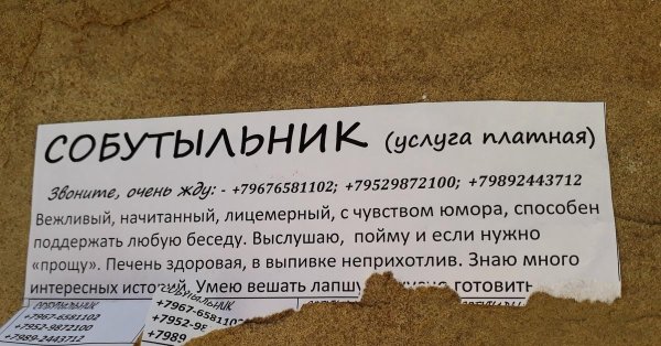 кто такой собутыльник