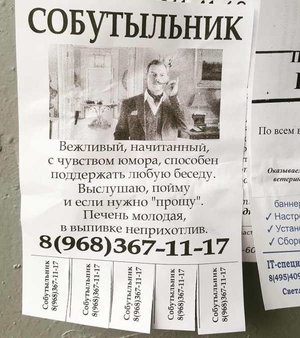 сосед собутыльник