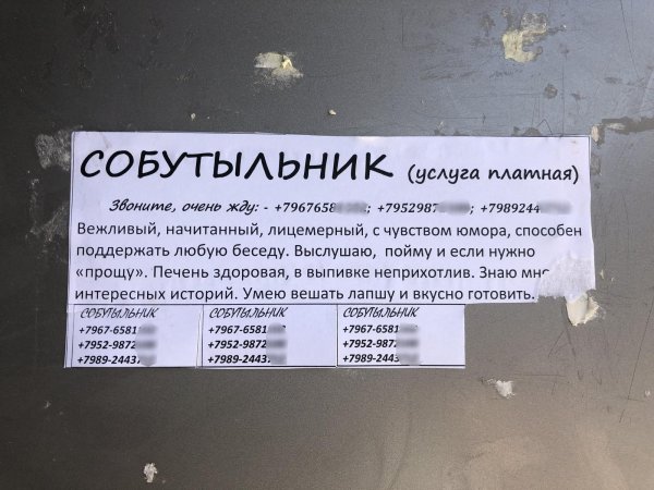 объявление собутыльник