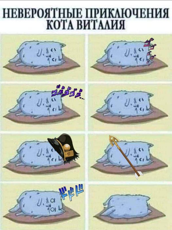 невероятные приключения котика