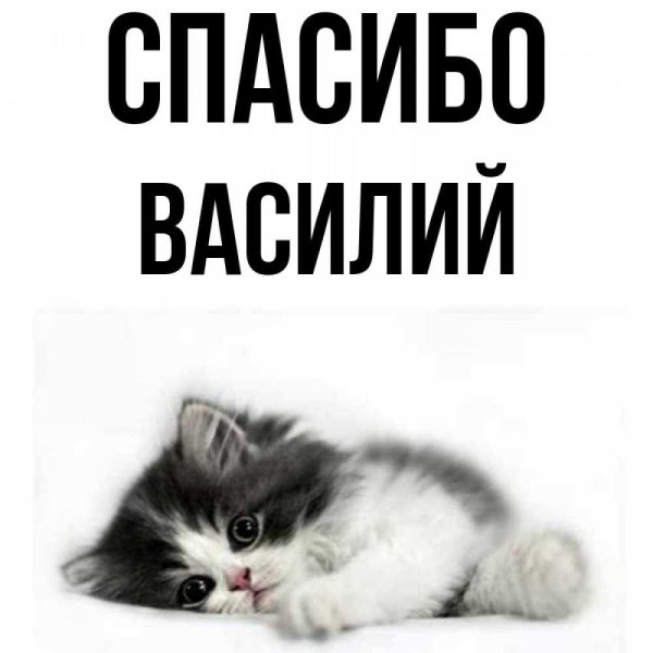 спасибо за золотые ручки