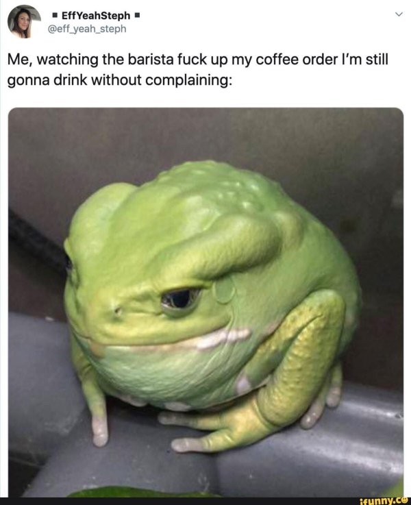 жаба лягушка