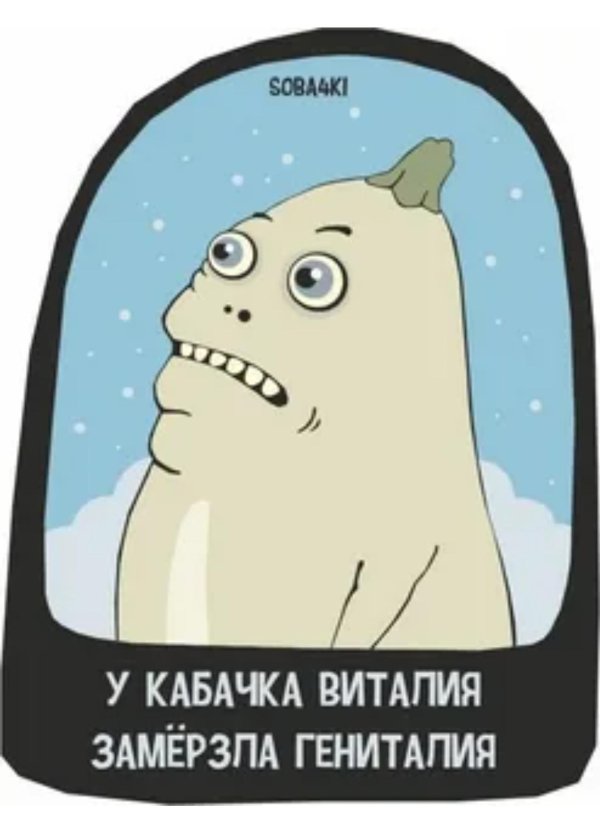 смешной кабачок