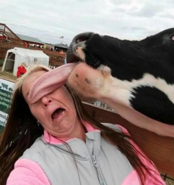 женщина корова