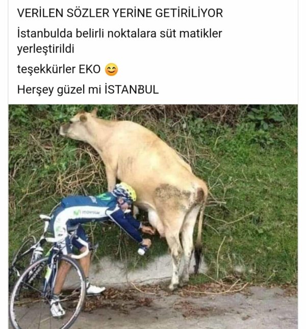 приколы юмор