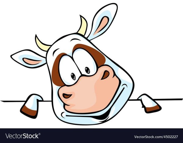 морда коровы рисунок