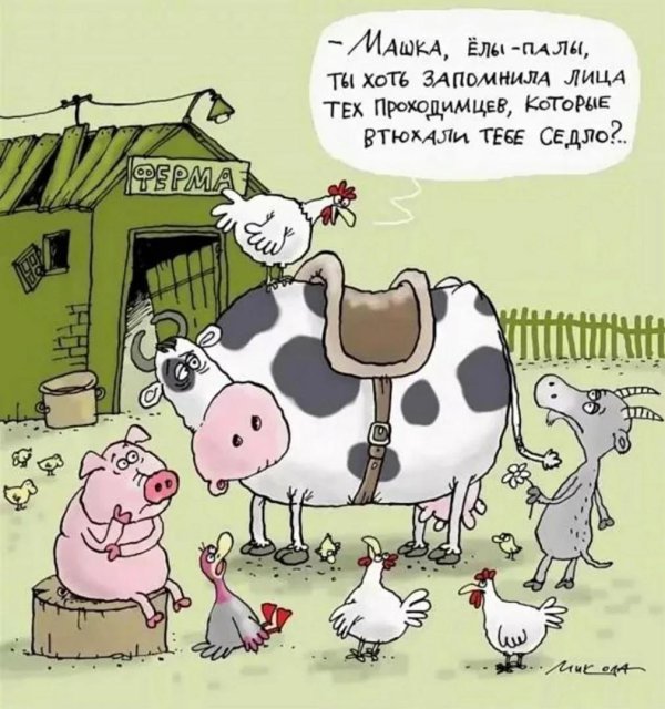 анекдоты карикатуры