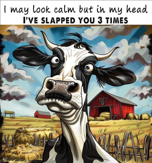 funny cow