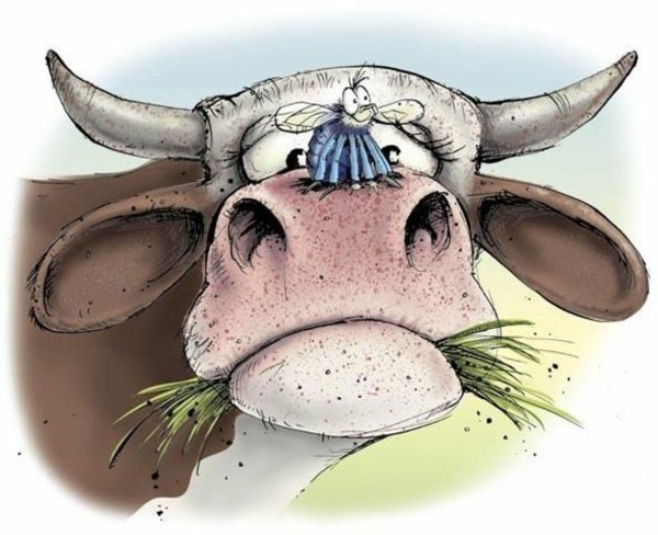 иллюстрации смешные