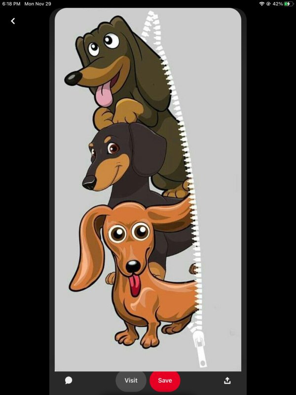 мультяшные таксы