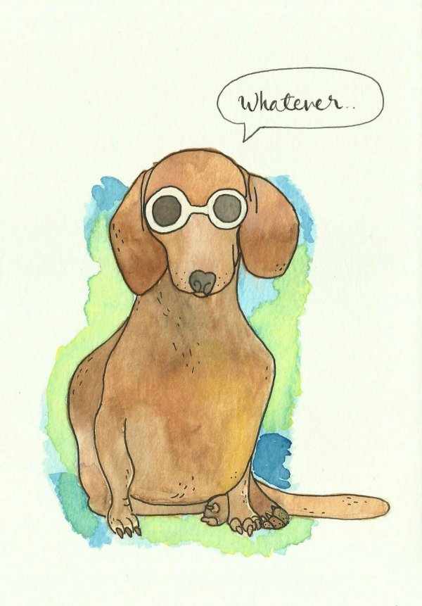 нарисованная такса