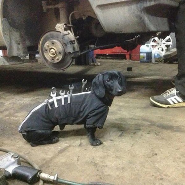 помощник автомеханика