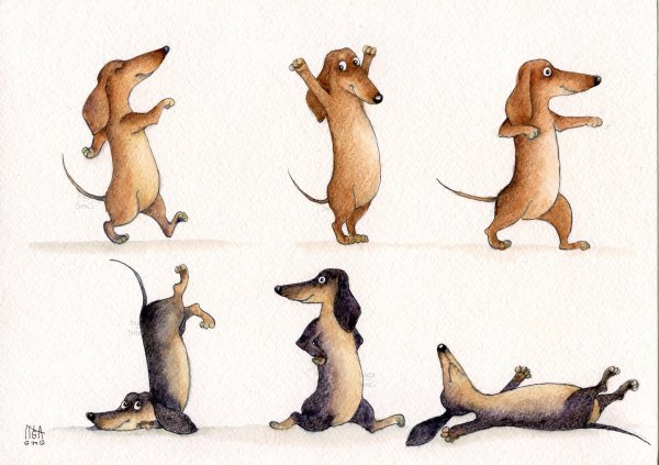 инга измайлова таксы