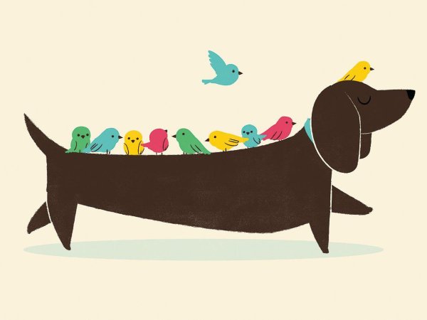 мультяшные таксы