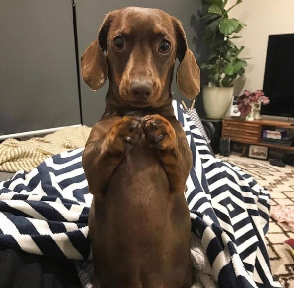 супер такса