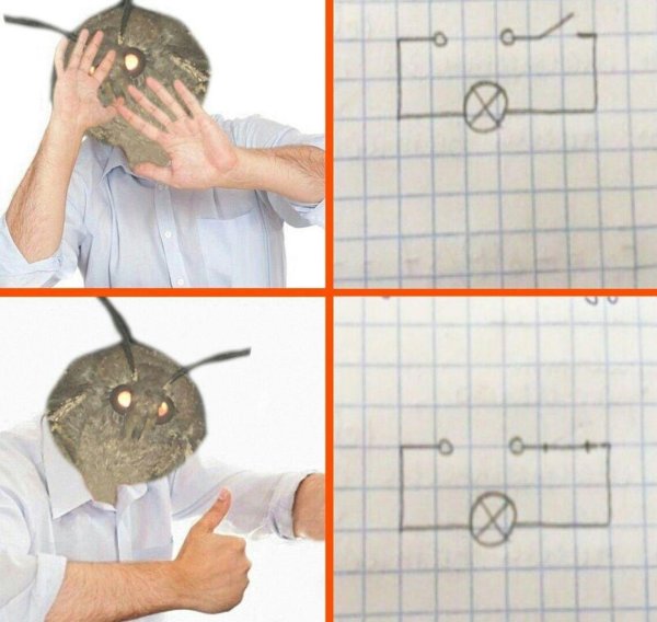 сплюшка сова