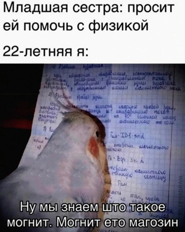 подборка мемов