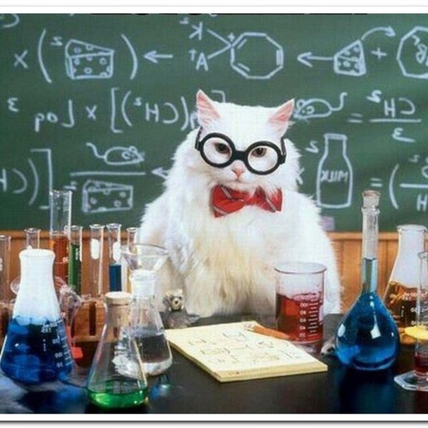 учитель химии