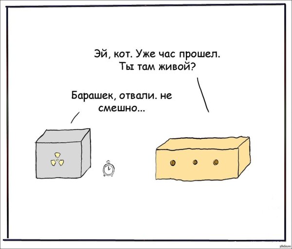 кот шредингер