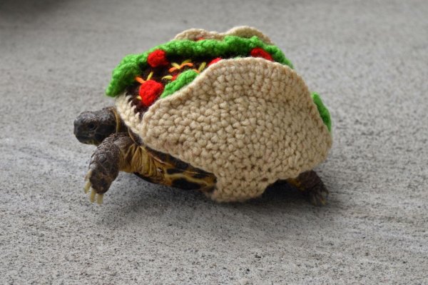 костюмчики для черепах