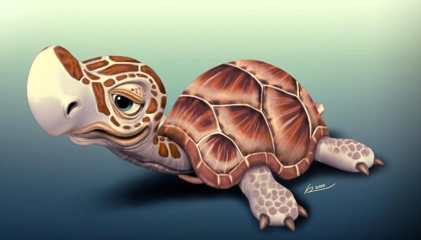 черепашка арт